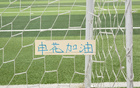 本轮客战辽宁! 申花还能五外援吗 8月15日主场 包厢外援能清空吗