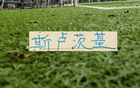 前申花主帅斯卢茨基 考虑违约金问题